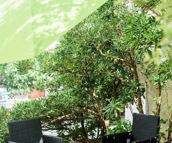 David Appartement Šilo