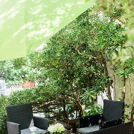 David Apartmán Šilo